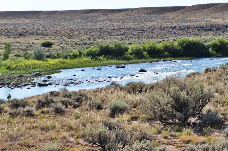 GOLD BAR RIVER RANCH NEAR CODY WYOMING #66