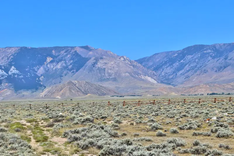 GOLD BAR RIVER RANCH NEAR CODY WYOMING #69